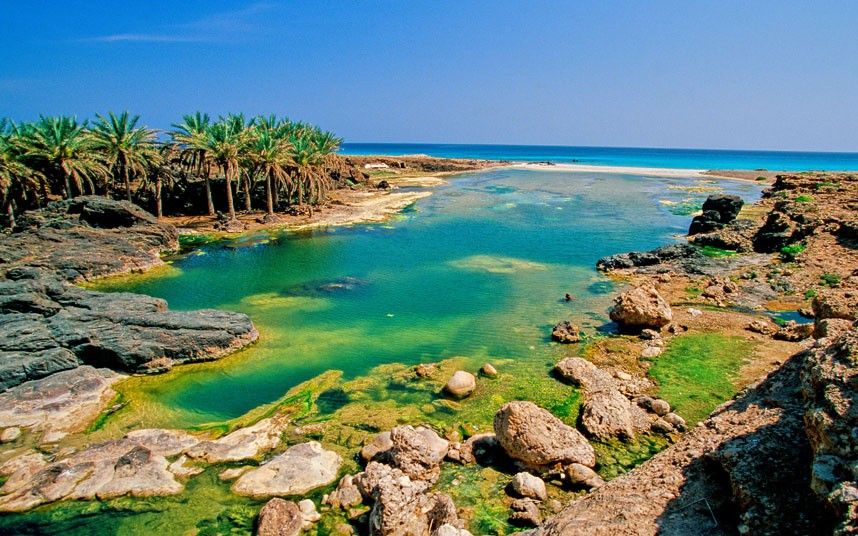 socotra island beach