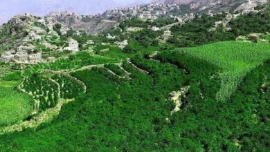 السياحة في صنعاء حراز