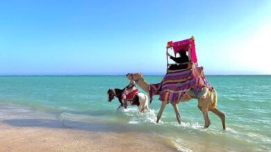 انشطة في سواحل أملج