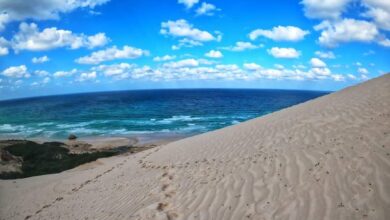 فنادق جزيرة سقطرى