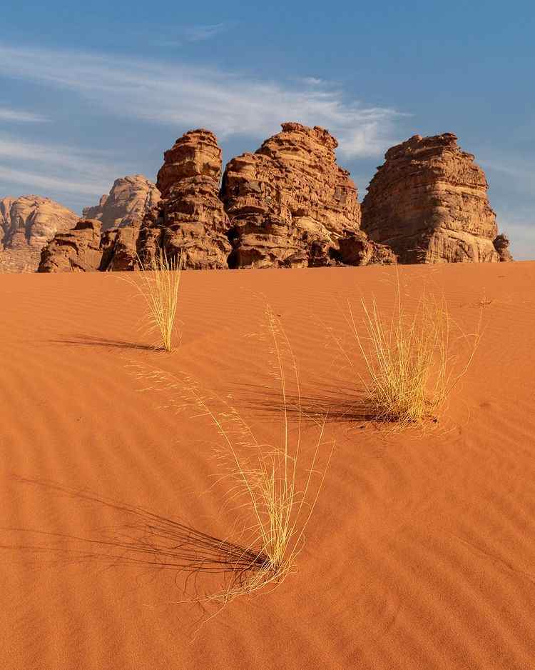 صحراء مدينة نيوم