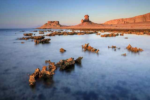 مدينة ذا لاين 