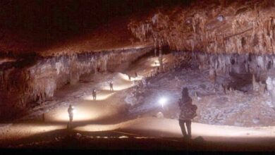 كهوف جزيرة سقطرى