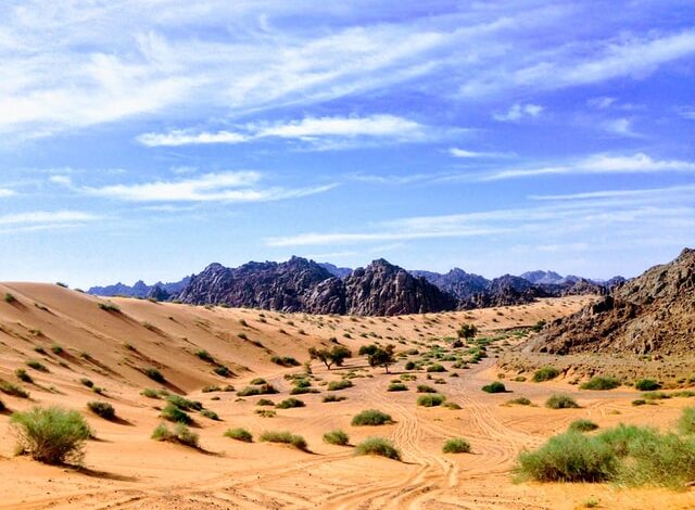 السياحة السعودية