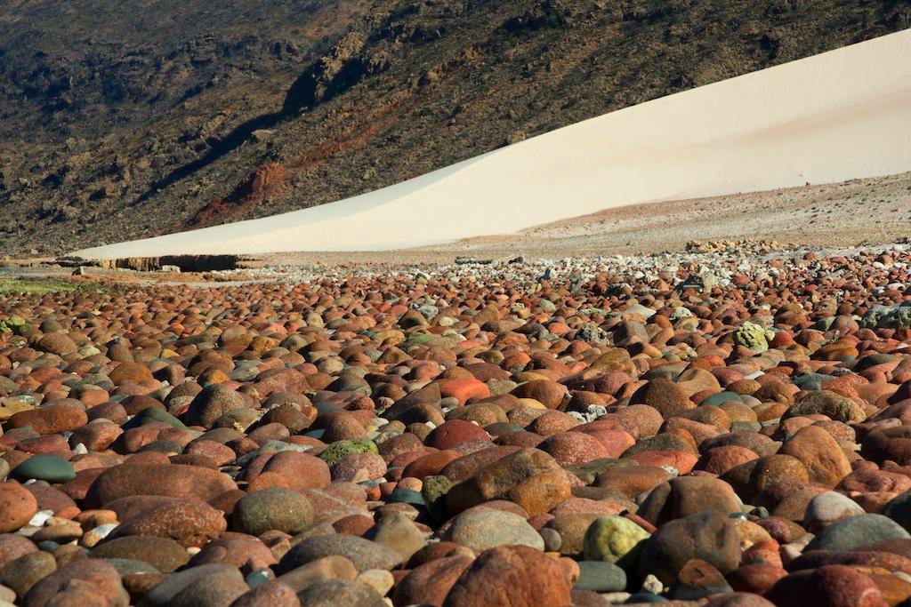 شاطئ ديلشيا