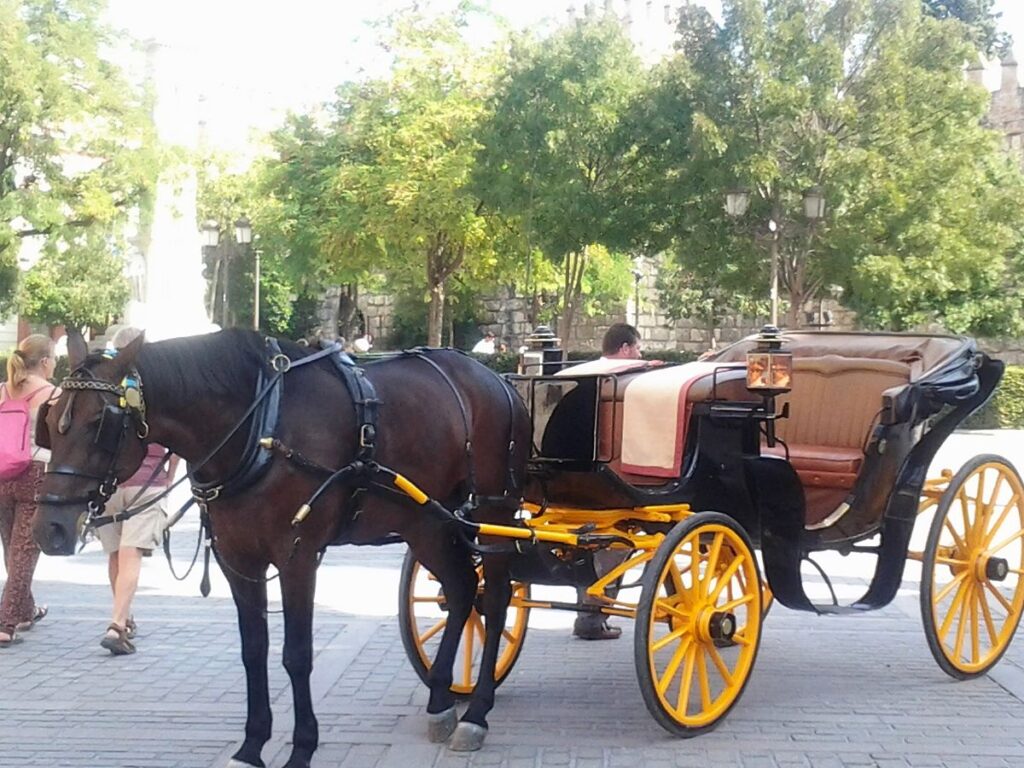 الحنطور في مدينة الأقصر