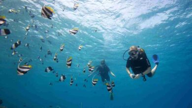 الغوص والغطس في جزر المالديف