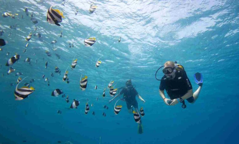 الغوص والغطس في جزر المالديف