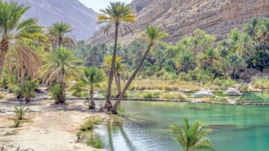 وادي في شمال الشرقية في عمان