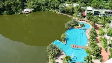 منتجع هافن، ايبوه