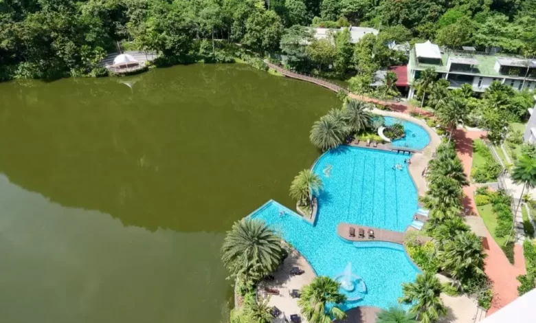 منتجع هافن، ايبوه