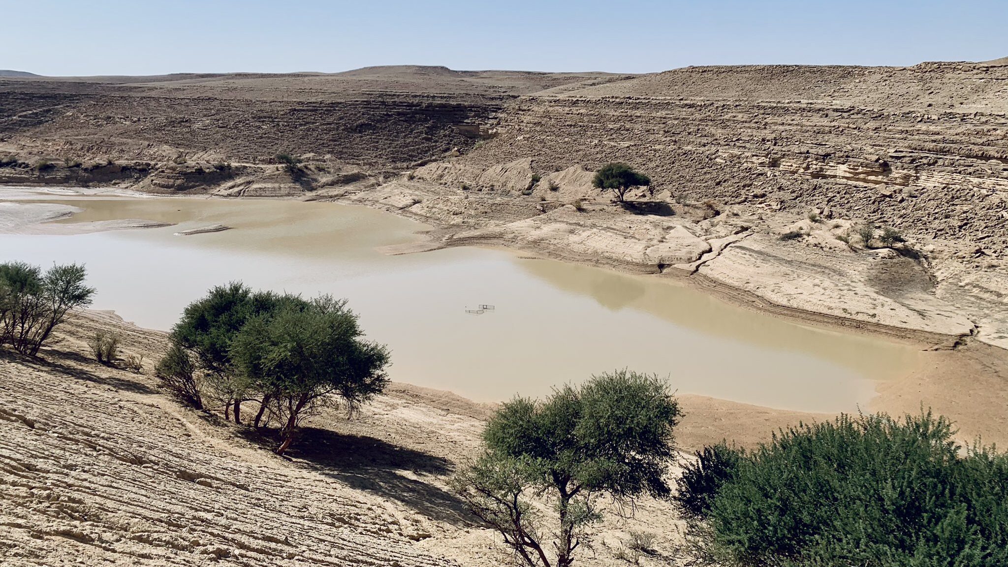 صورة سقوط الأمطار في دقلة شعيب التي هي ضمن كشتات بر يوصى بها في الرياض
