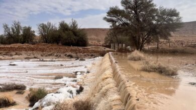 7توصيات لكشتات بر في مددينة الرياض