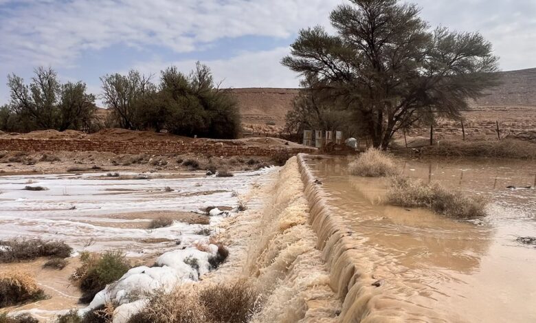 7توصيات لكشتات بر في مددينة الرياض